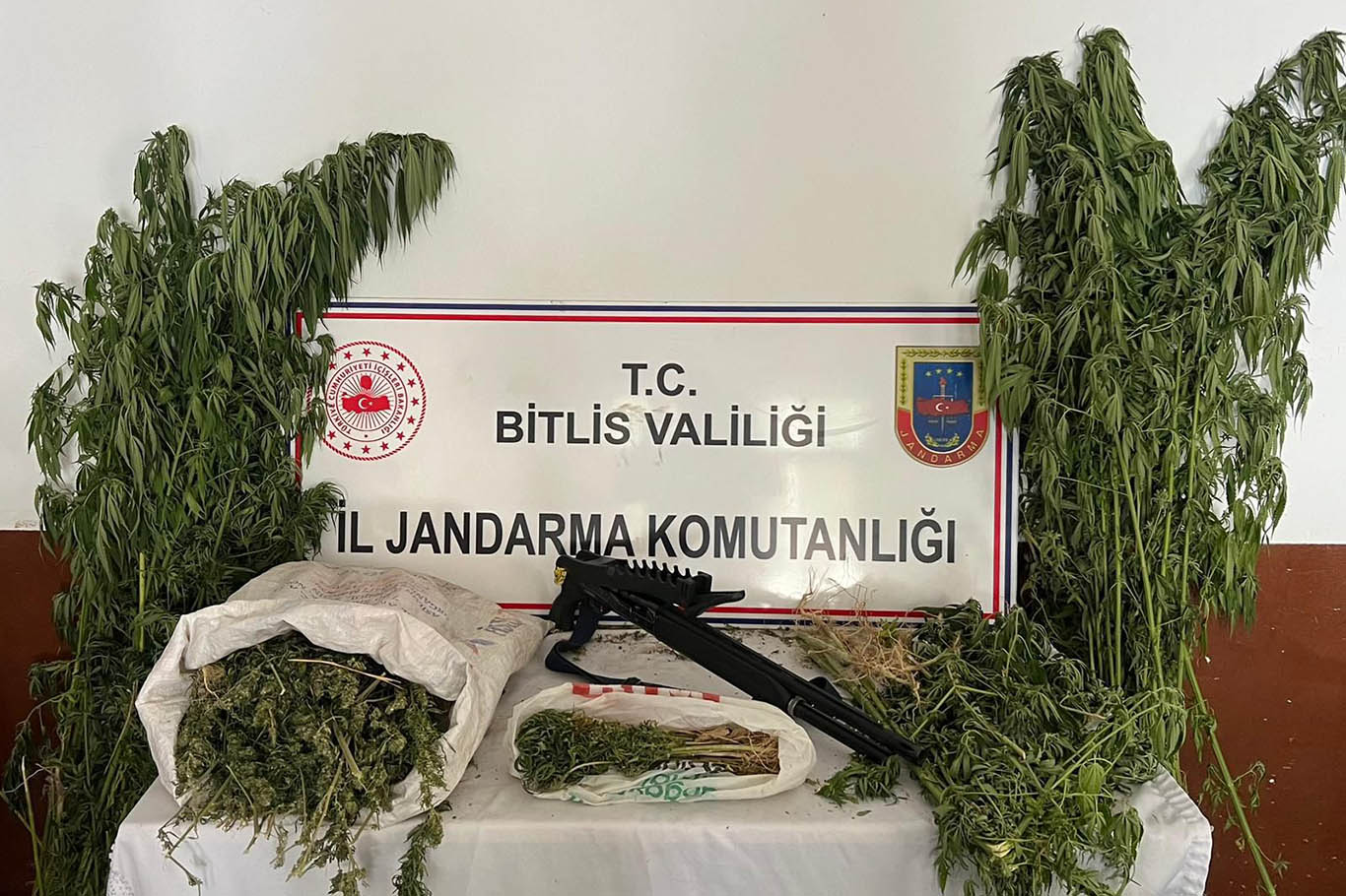 Bitlis jandarma ekiplerince Hizan