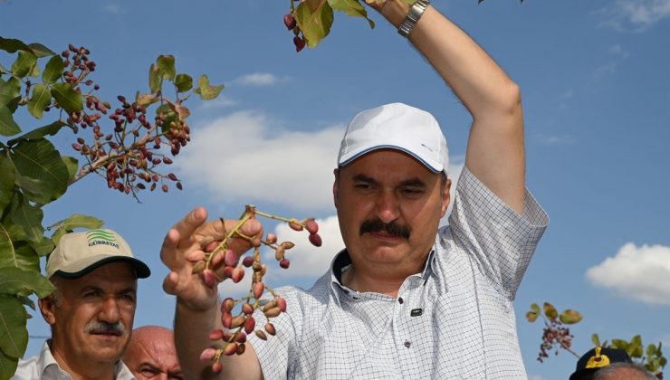 bu tablo bizim görmek istediğimiz tarafıdır