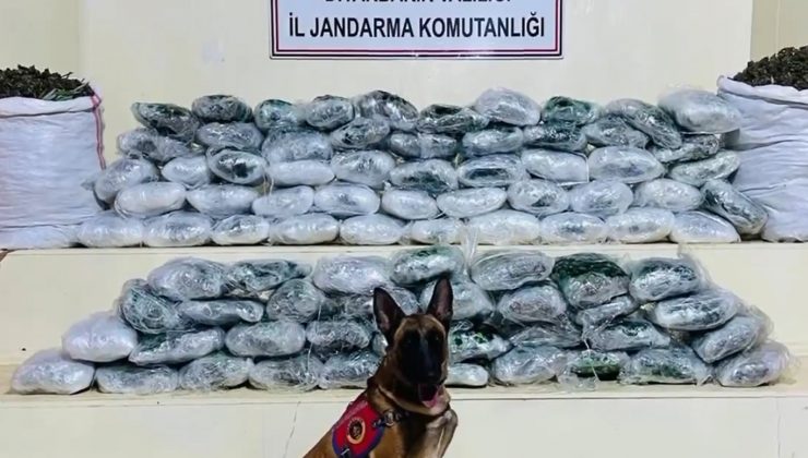 1 ton 971 kilogram uyuşturucu, 267 bin adet uyuşturucu hap ele geçirildi