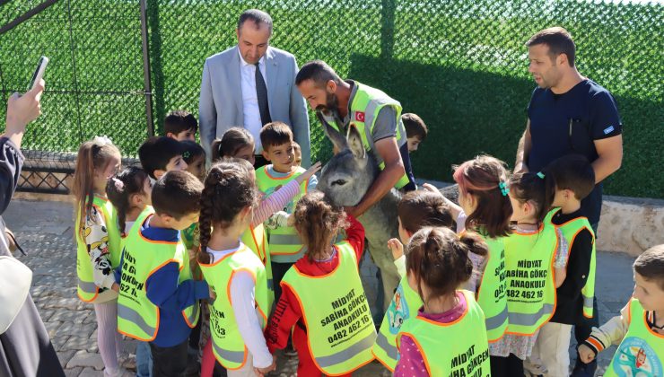 geçici hayvan bakımevi’ne öğrencilerden yoğun ilgi