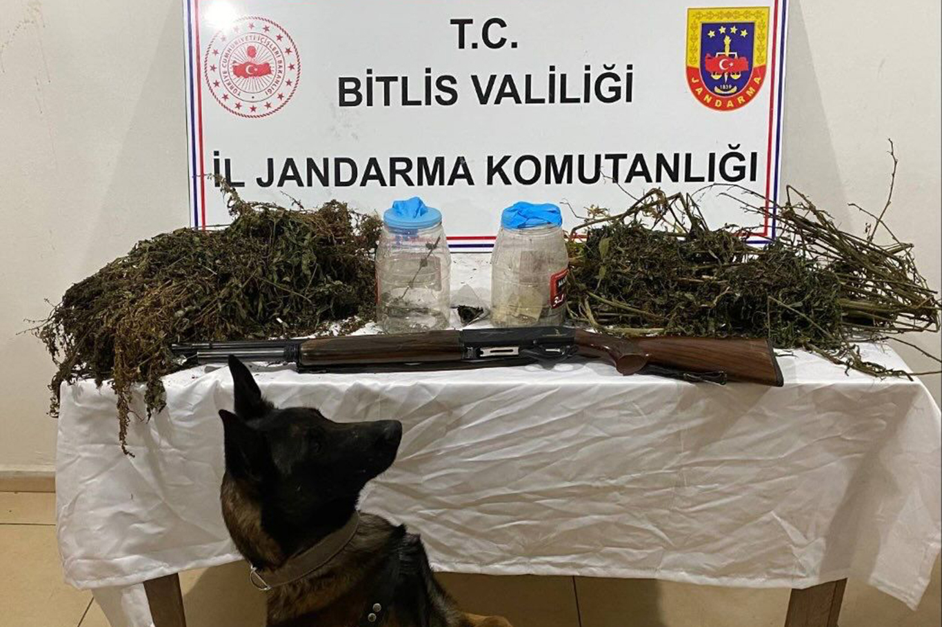 Bitlis İl Jandarma ekiplerince,