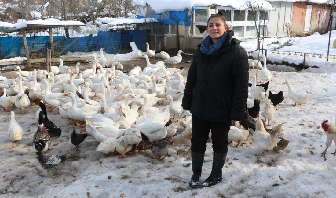 SAMSUN’da yaşayan Okul Öncesi