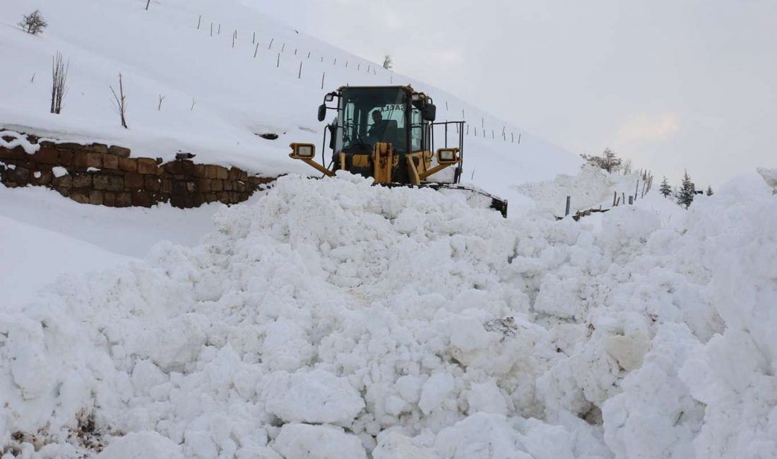 Van, Hakkari ve Muş'ta