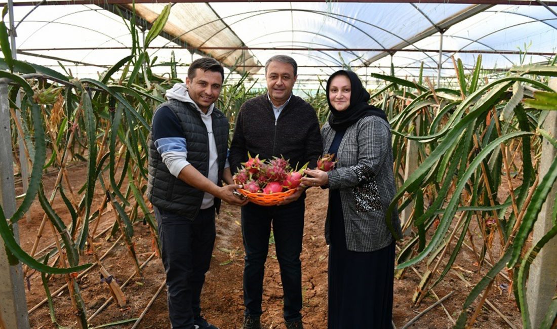 Şanlıurfa Valisi Hasan Şıldak