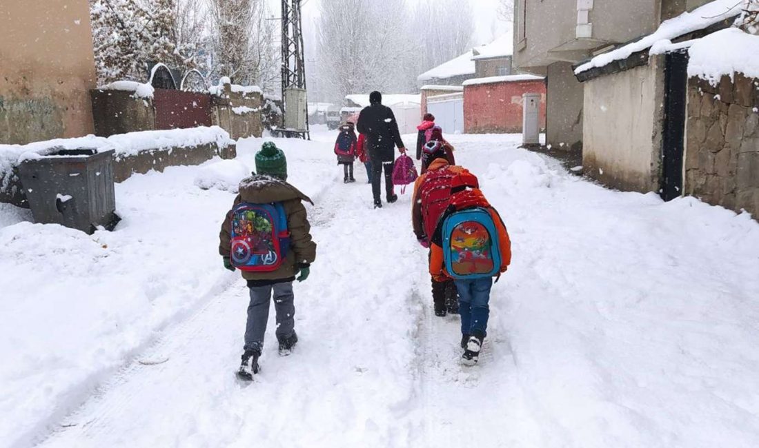 Diyarbakır'da etkili olan kar