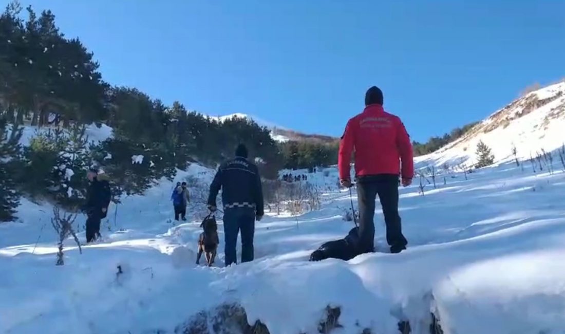 ERZURUM'da, Palandöken Dağı Sultan