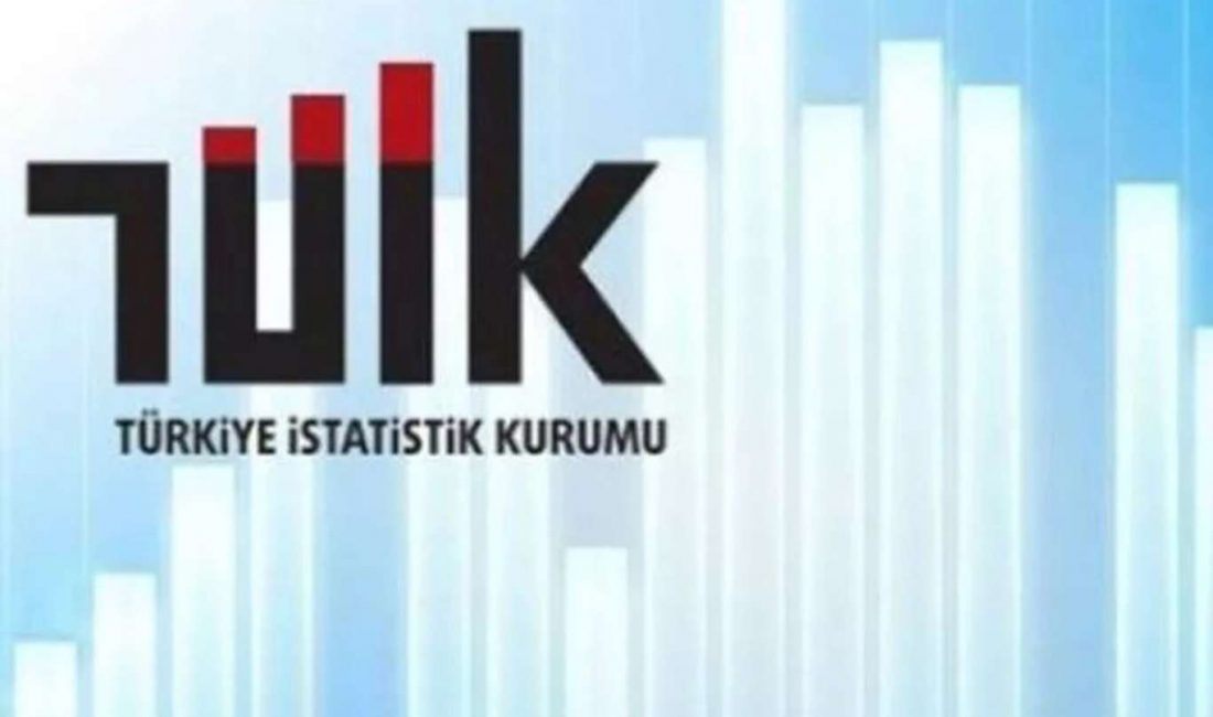 Türkiye İstatistik Kurumu (TÜİK),